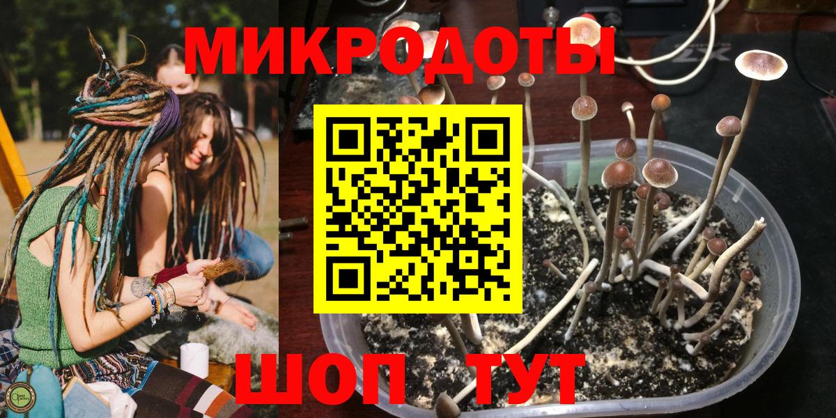 Северск  где продают   Вход с VPN  Галлюциногенные грибы прущие грибы 
