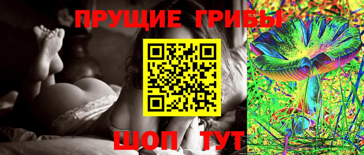 Галлюциногенные грибы мицелий Северск